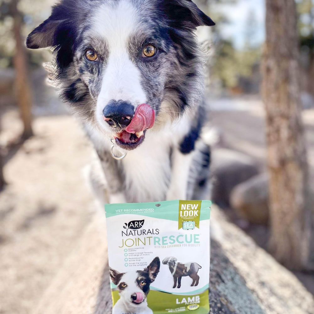 ARK NATURALS Joint Rescue uso diario: favorece la movilidad y el confort