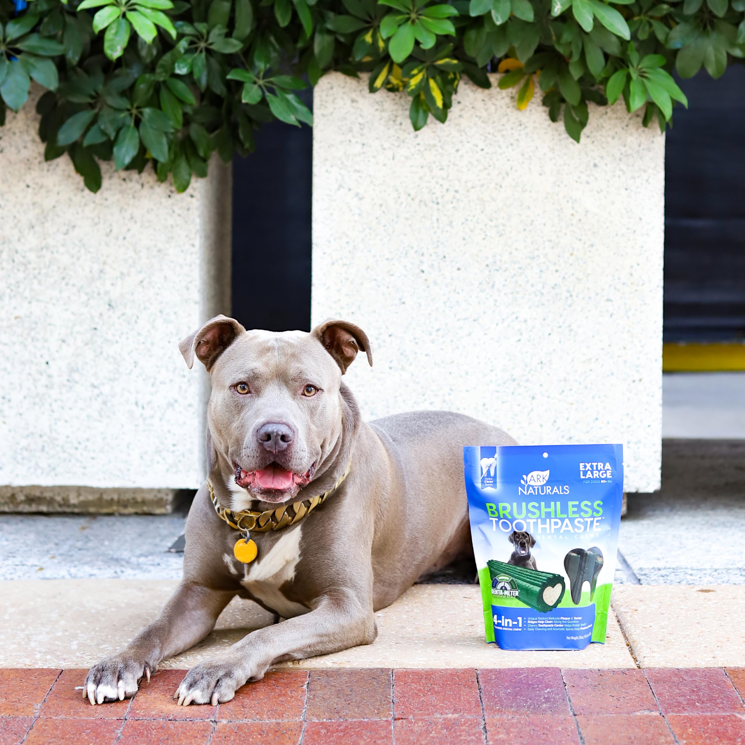 ARK NATURALS masticables dentales para perros extragrandes