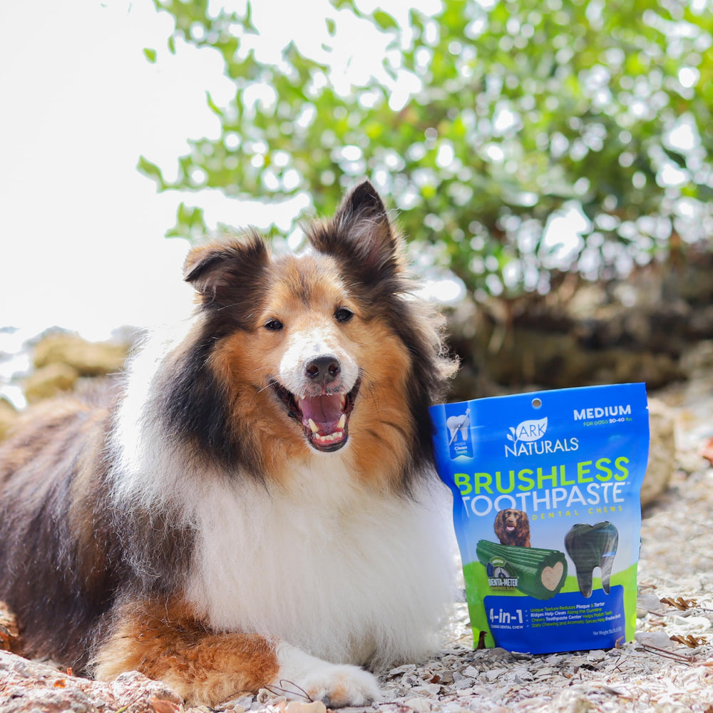 Perro masticando chuches Ark Naturals para una experiencia de snack saludable.