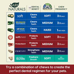 Ark Naturals Protection+ sabores naturales canela y vainilla para un aliento más agradable