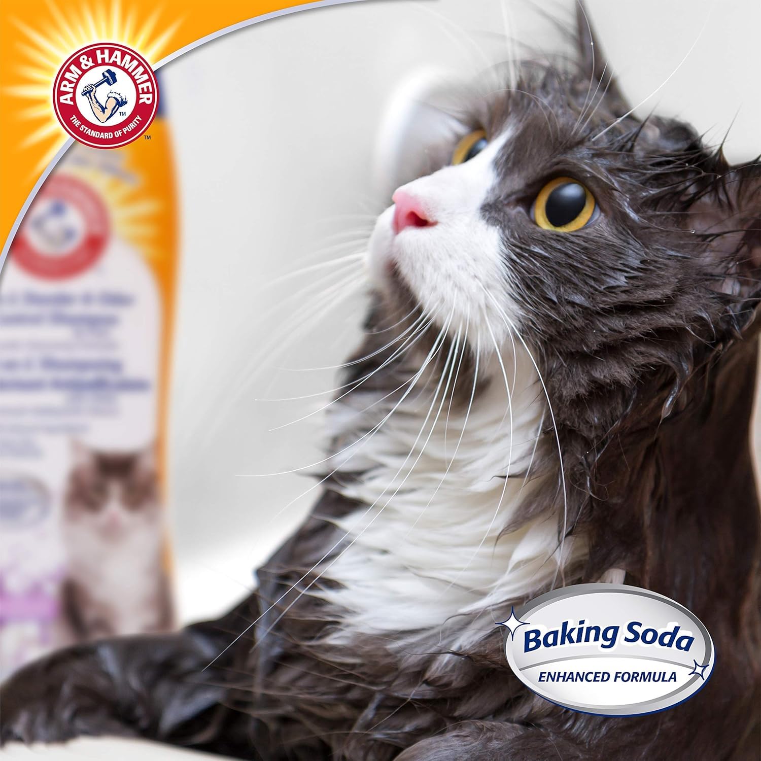 Arm & Hammer champú gato envase 20 onzas, práctico para casa