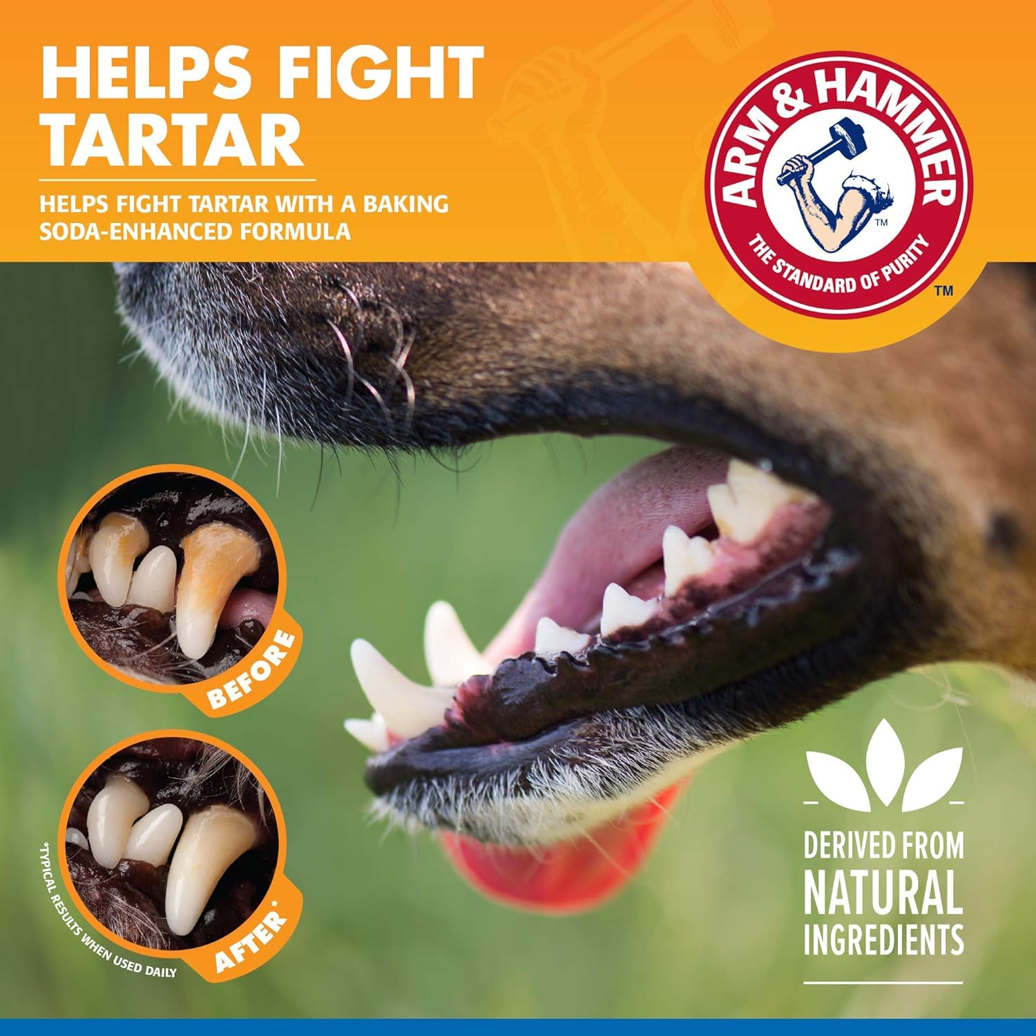 Closeup of Arm & Hammer Clinical Care Dental Rinse bottle for cleaner teeth.