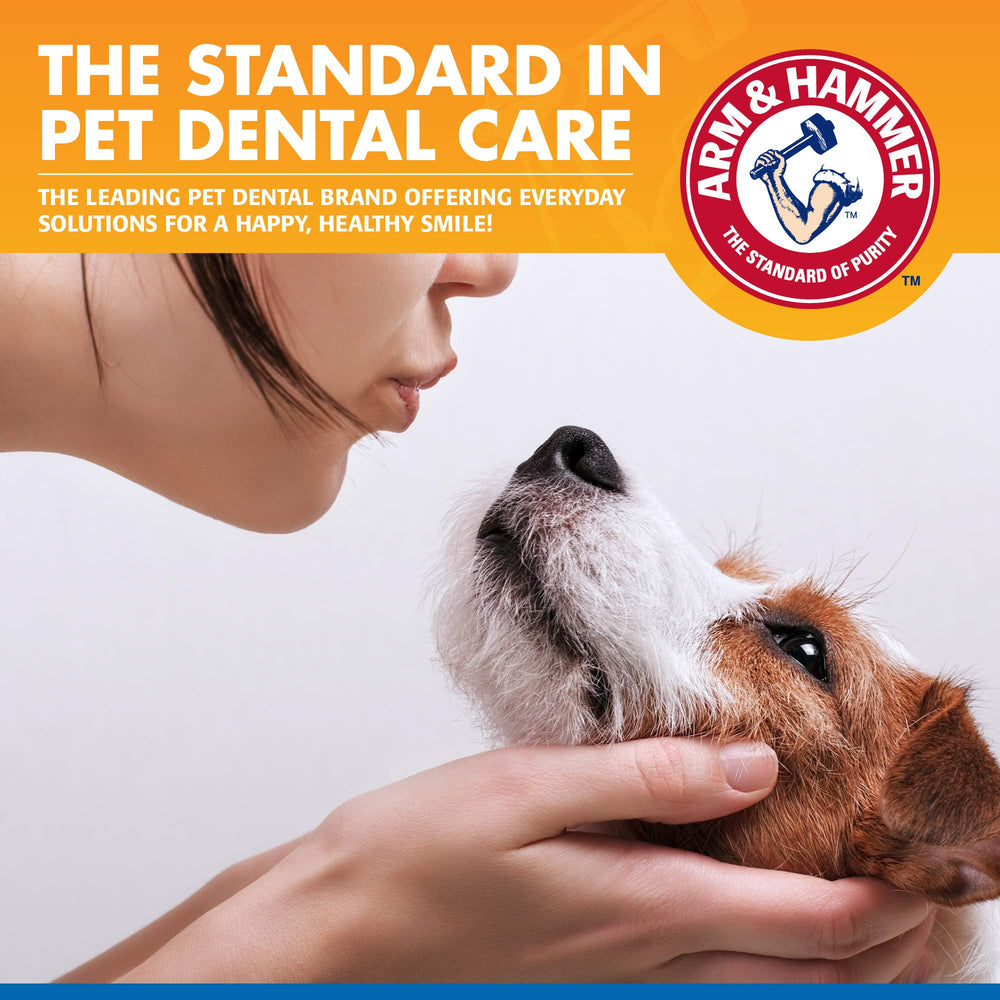 Arm & Hammer Dental Rinse en cuenco de agua para rutina diaria.
