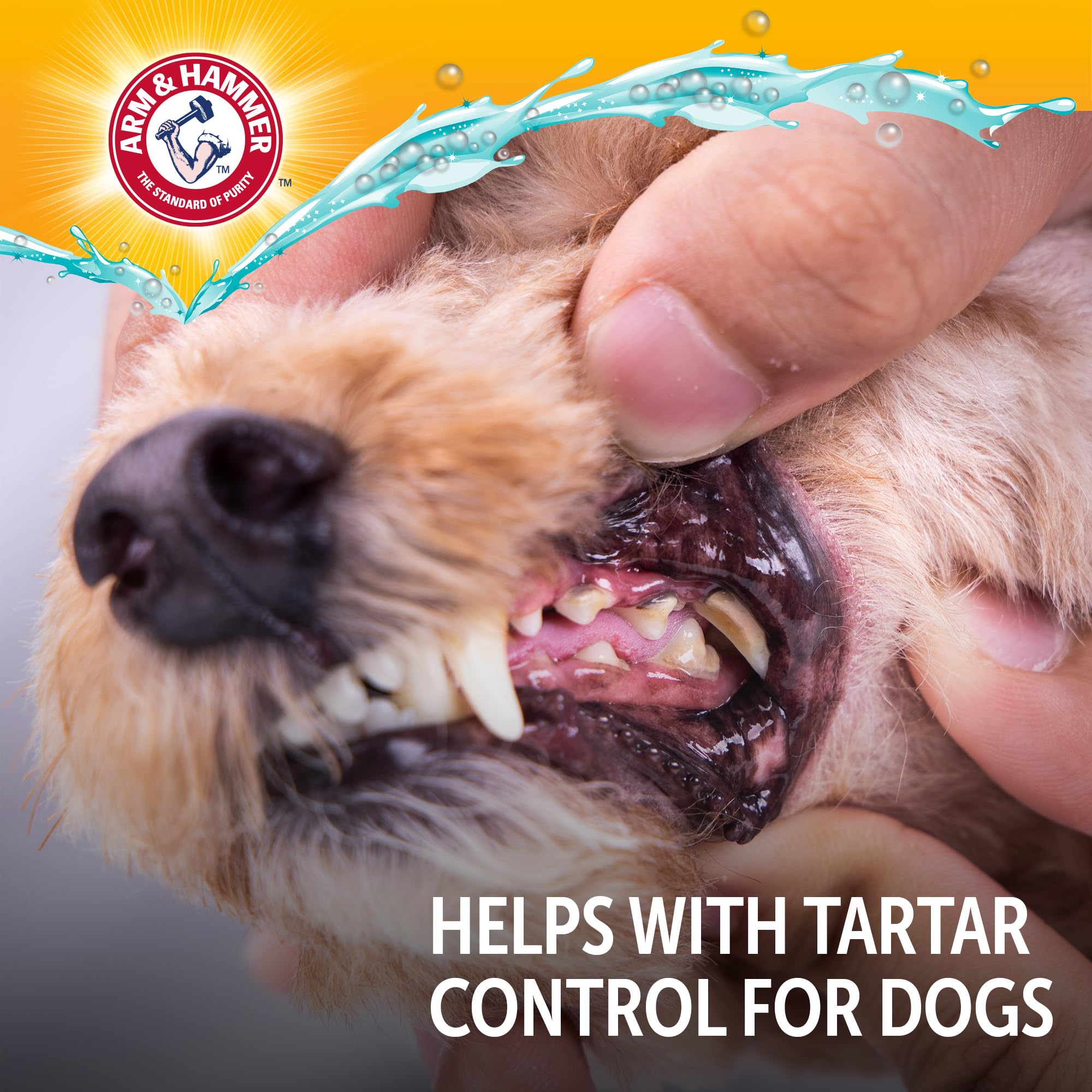 Arm & Hammer Complete Care uso diario sin cepillado para perro.