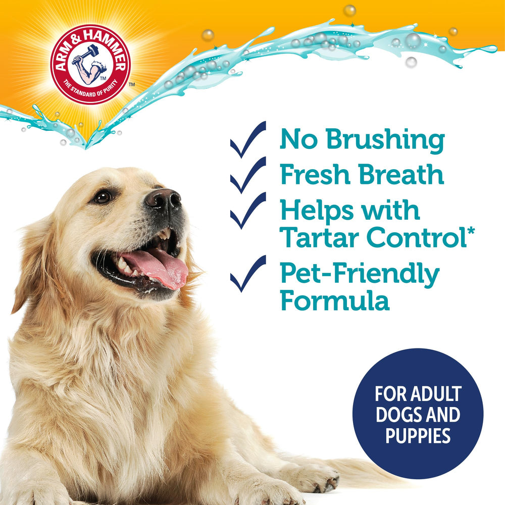 Arm & Hammer Complete Care primer plano de dientes de perro tras uso.