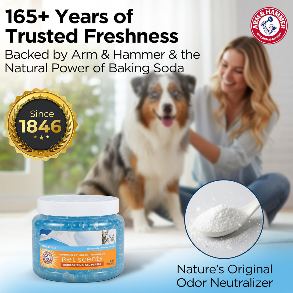 Arm & Hammer contenedor 12 oz gel desodorizante