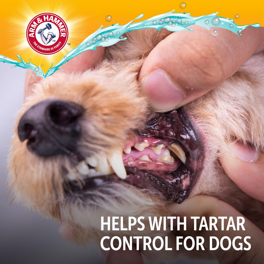 Arm & Hammer aditivo dental para perros; rápida preparación en cuenco de agua.