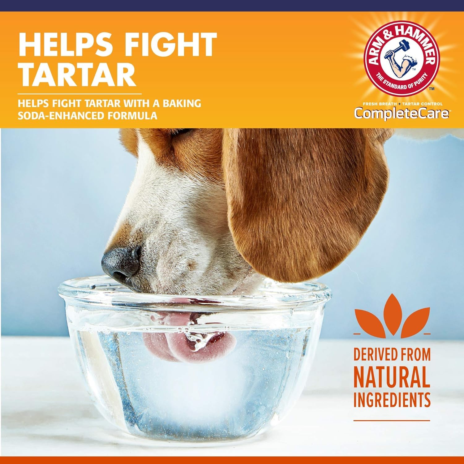 Arm & Hammer etiqueta clara del producto dental para perros.