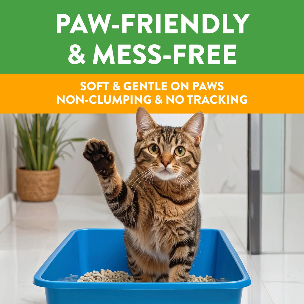 Arm & Hammer Feline Pine Platinum, polvo muy bajo para limpieza limpia