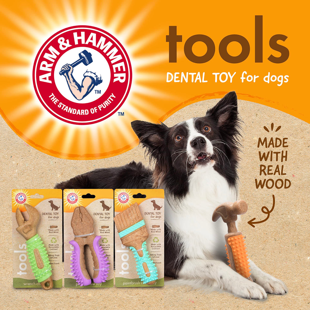Arm & Hammer para Mascotas: guía de tallas para encontrar la opción adecuada.