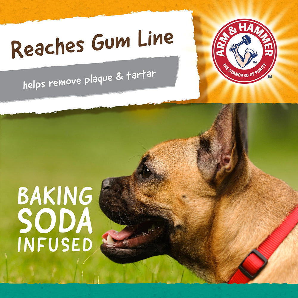 Arm & Hammer Nubbies TBone: construcción duradera no comestible para uso supervisado