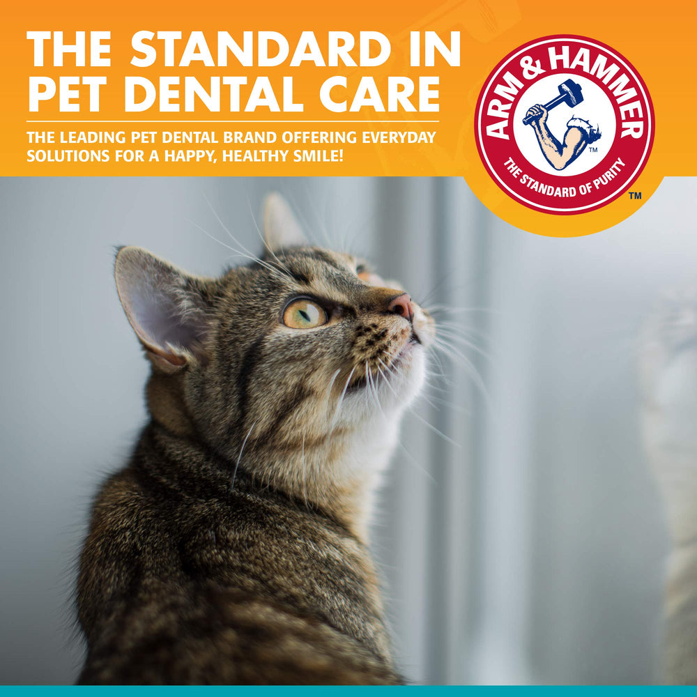 Arm & Hammer kit dental para gatos: paquete completo con opciones de cepillos.