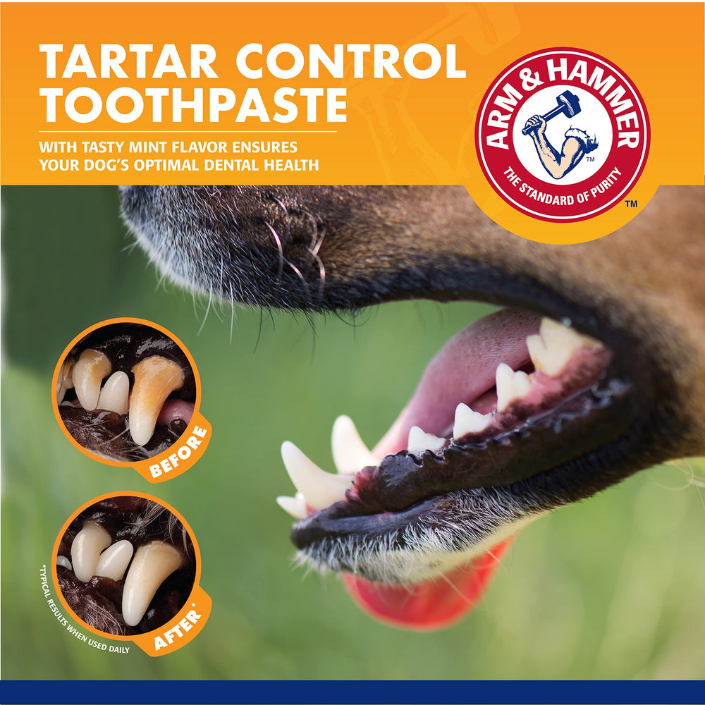 Arm & Hammer para Mascotas: kit dental en uso para perros de tamaño diverso.
