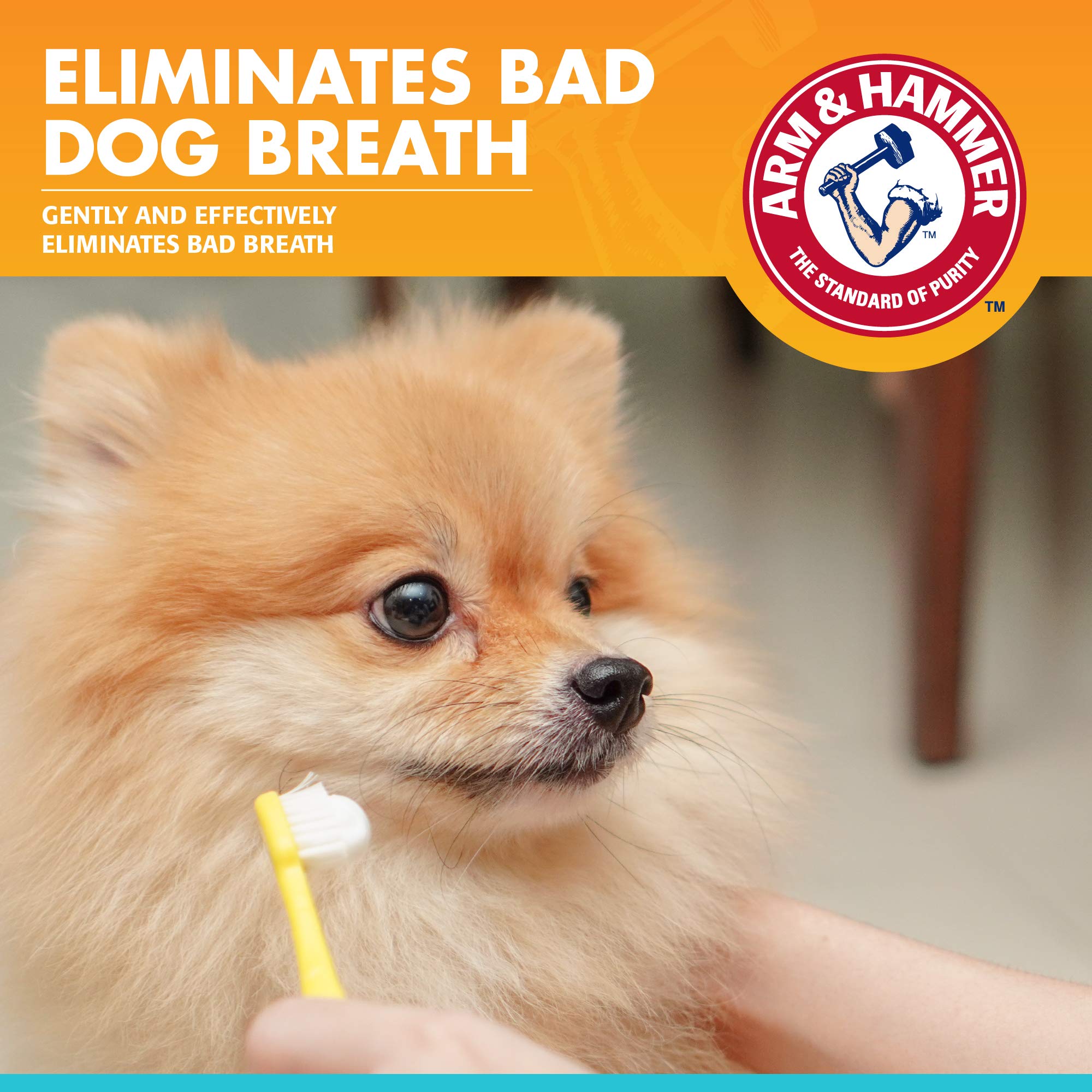 Arm & Hammer para mascotas: sabor vainilla jengibre, experiencia de cepillado agradable