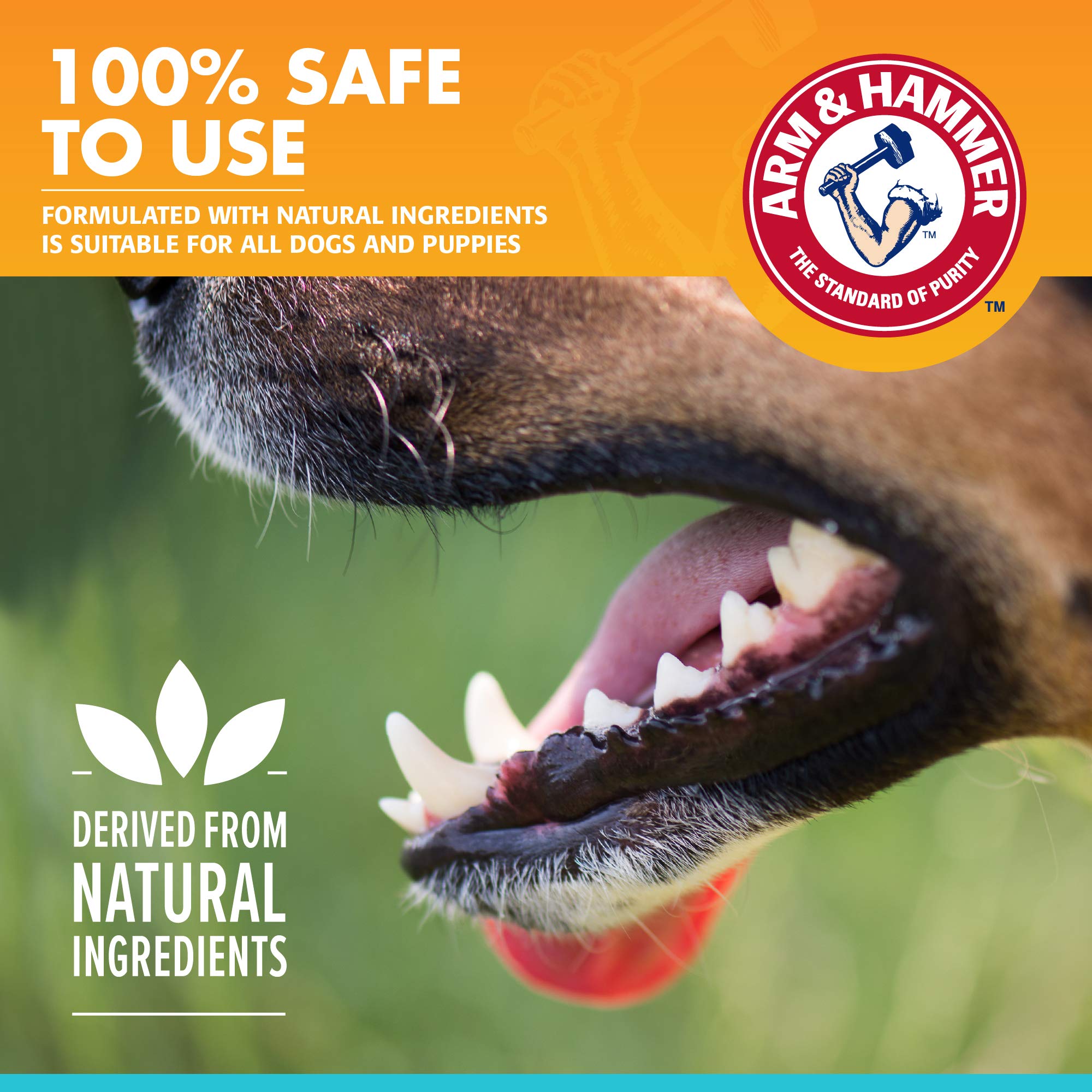 Pasta dental segura para cachorros de Arm & Hammer, ideal para entrenar cepillado.