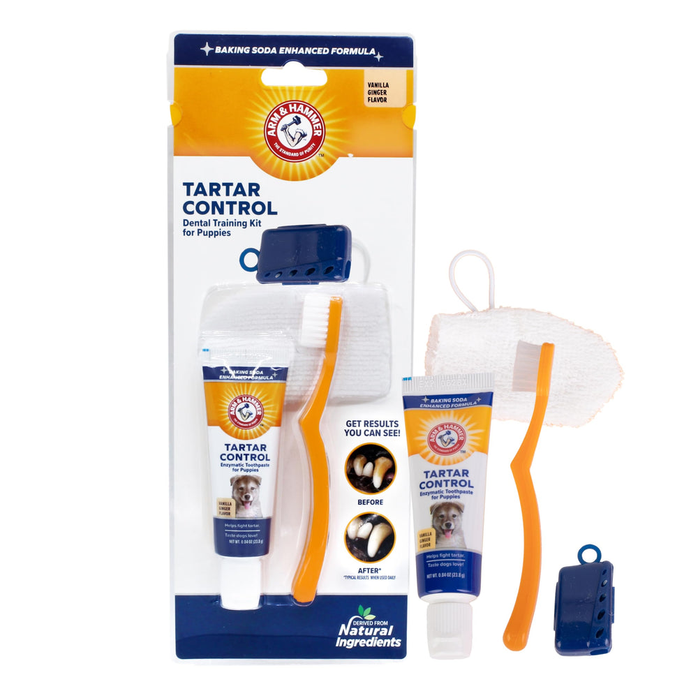 Pasta dental Arm & Hammer para cachorros con sabor vainilla jengibre para limpieza diaria