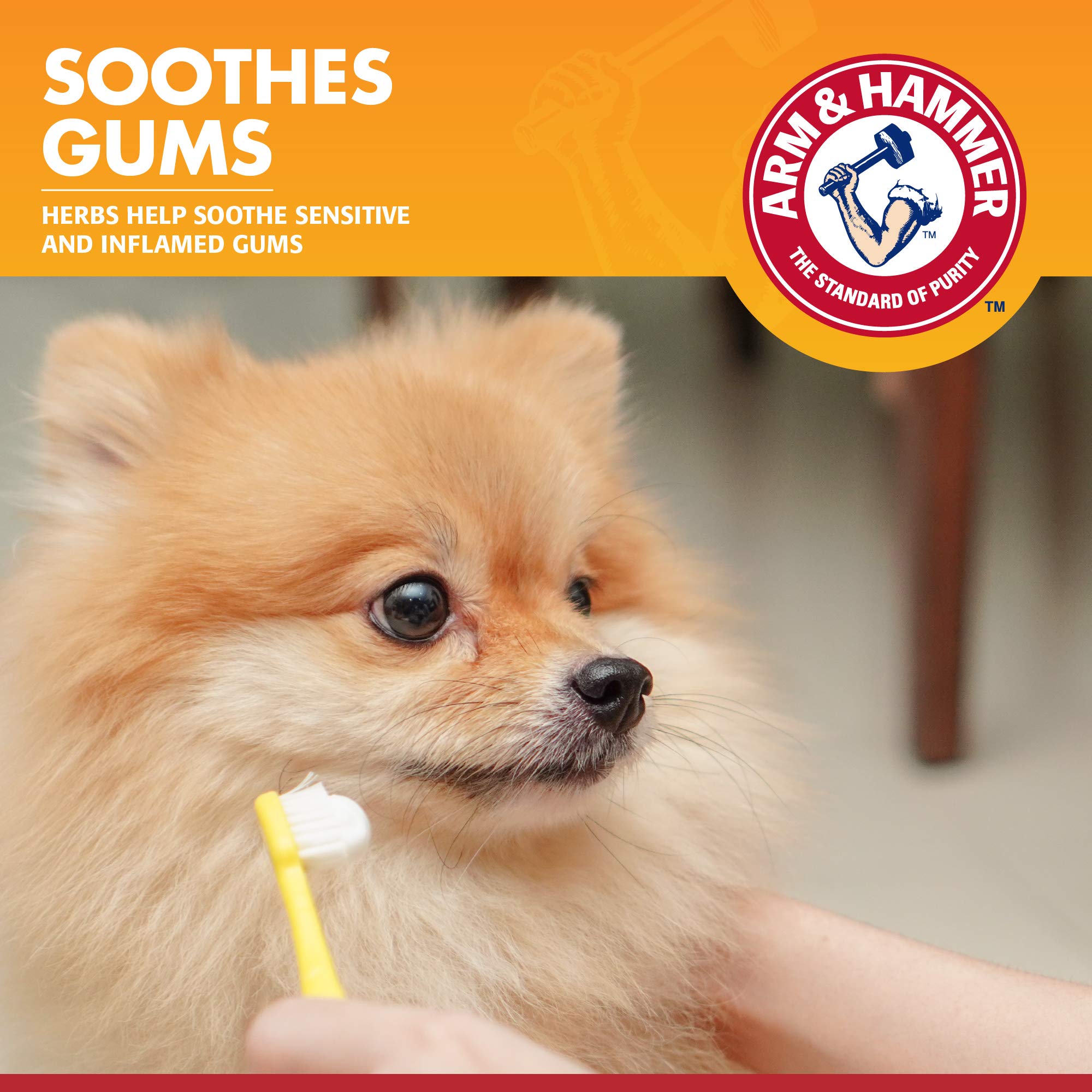 Arm & Hammer reducción de placa dental para perros.