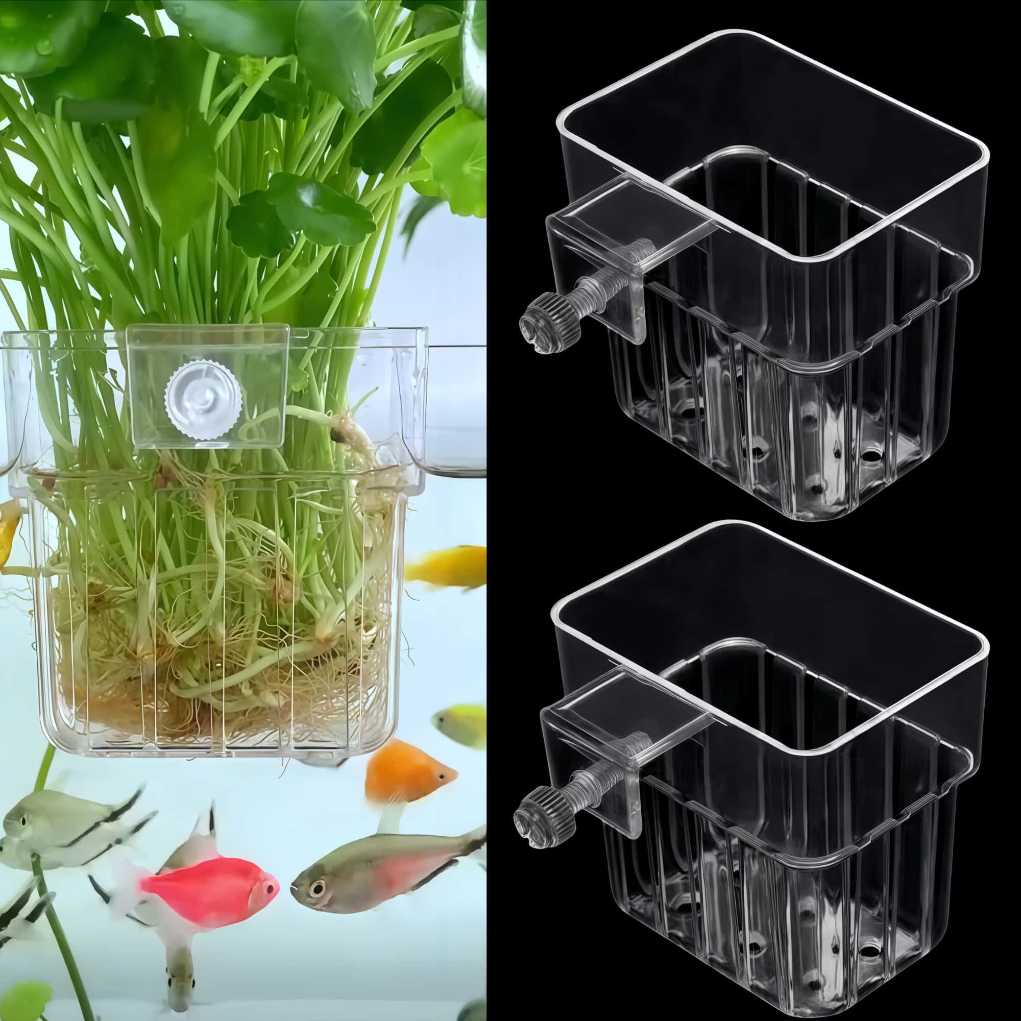 ARREBOL portaplanta para acuario en la tapa, sujeción estable para plantas