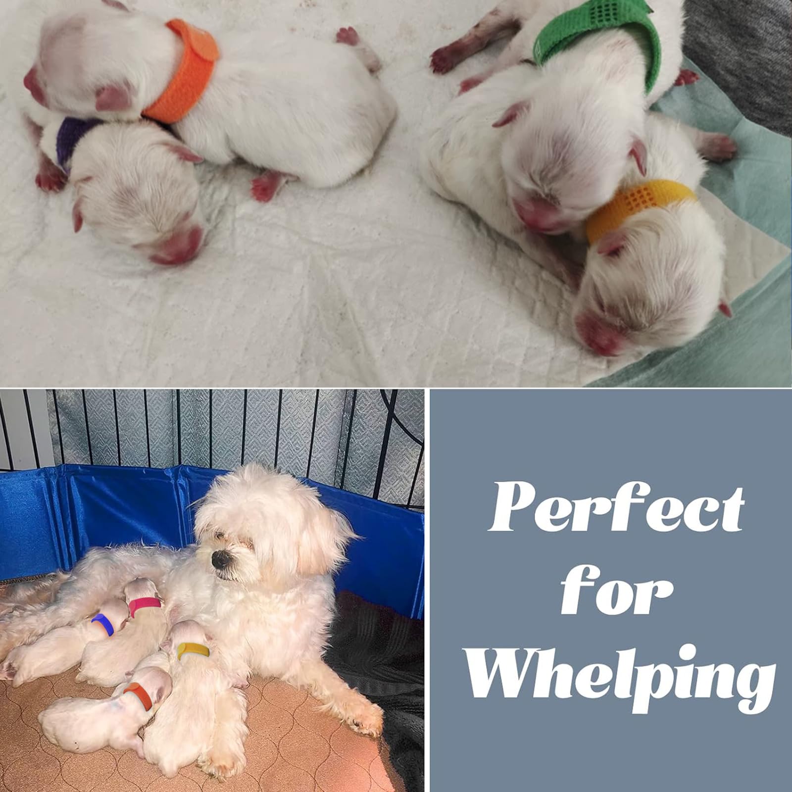 Artilife drenaje-whelping-perros, drenaje rápido para limpieza fácil