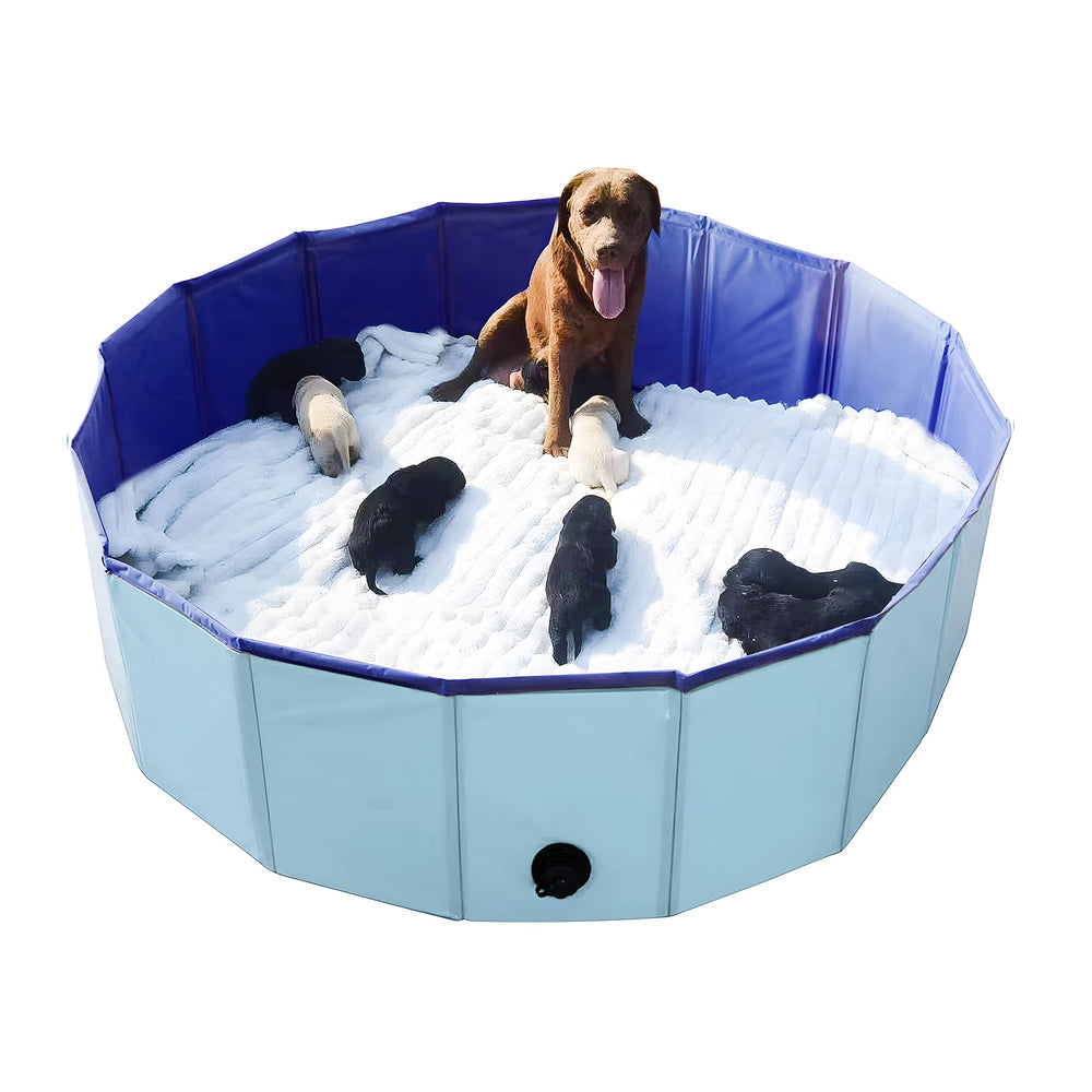 Artilife piscina de crianza para perros de 47 pulgadas, ideal para cachorros recién nacidos