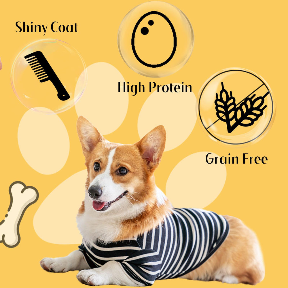 ASMPET snack sin aditivos artificiales para una opción natural para perros