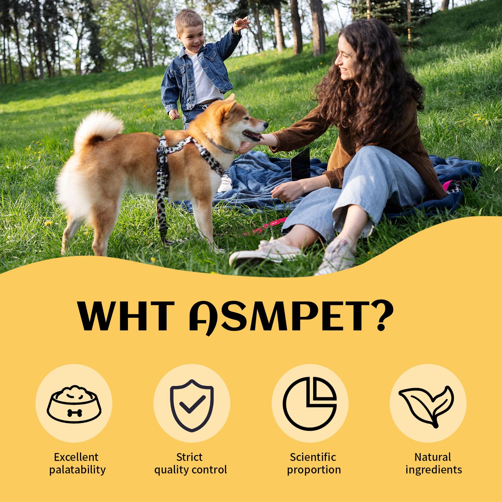 ASMPET snacks con taurina para apoyar bienestar potencial del corazón del perro