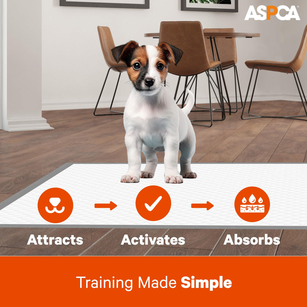 Pañales ASPCA aroma cítrico, control de olores en casa.