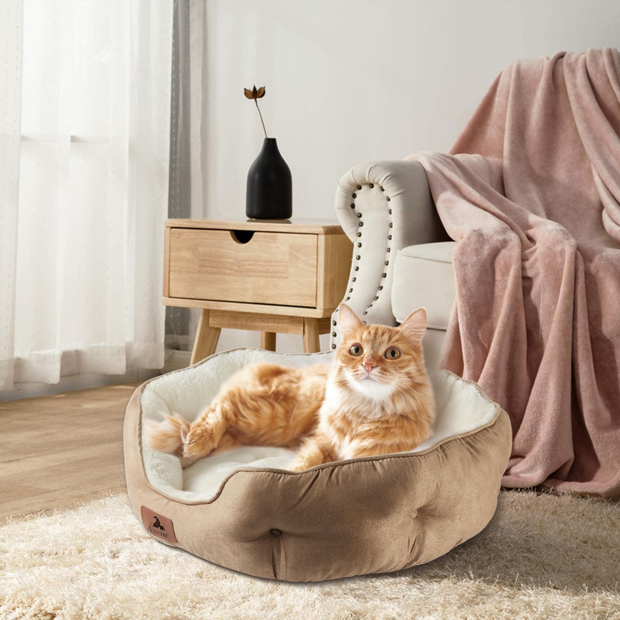 Asvin cama para perro pequeño en salón, perfecta para rutinas diarias.