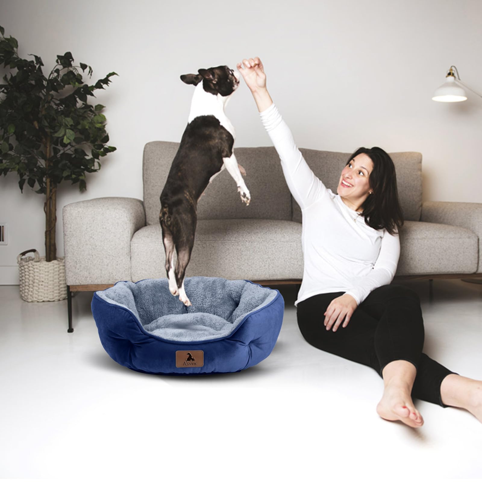 Cama Asvin de 20 pulgadas, apta para perros y gatos pequeños.