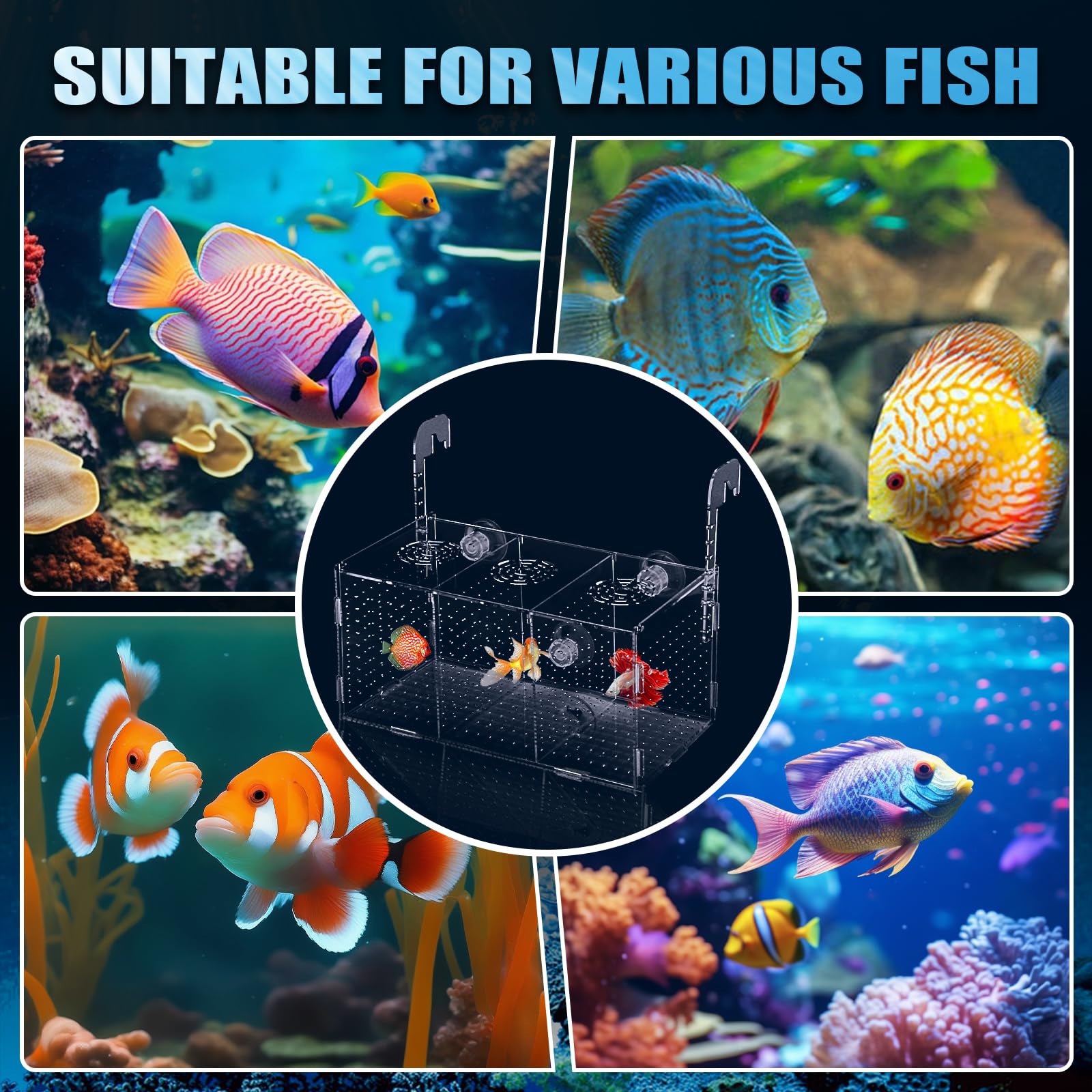 ATPWONZ Transparencia para monitorizar el desarrollo y comportamiento de los peces.