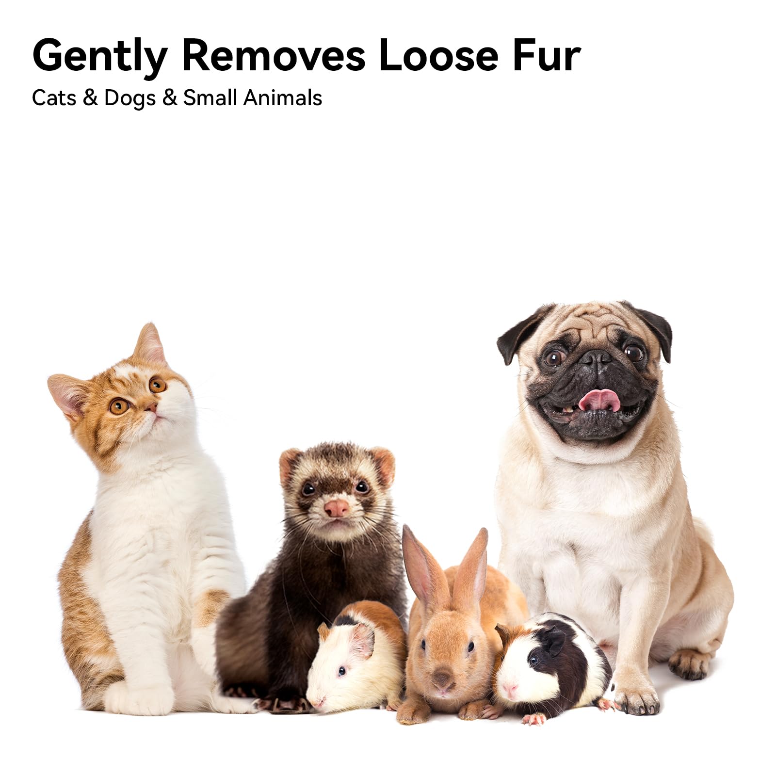 Conçu pour chats, lapins et petits chiens; polyvalence pratique.