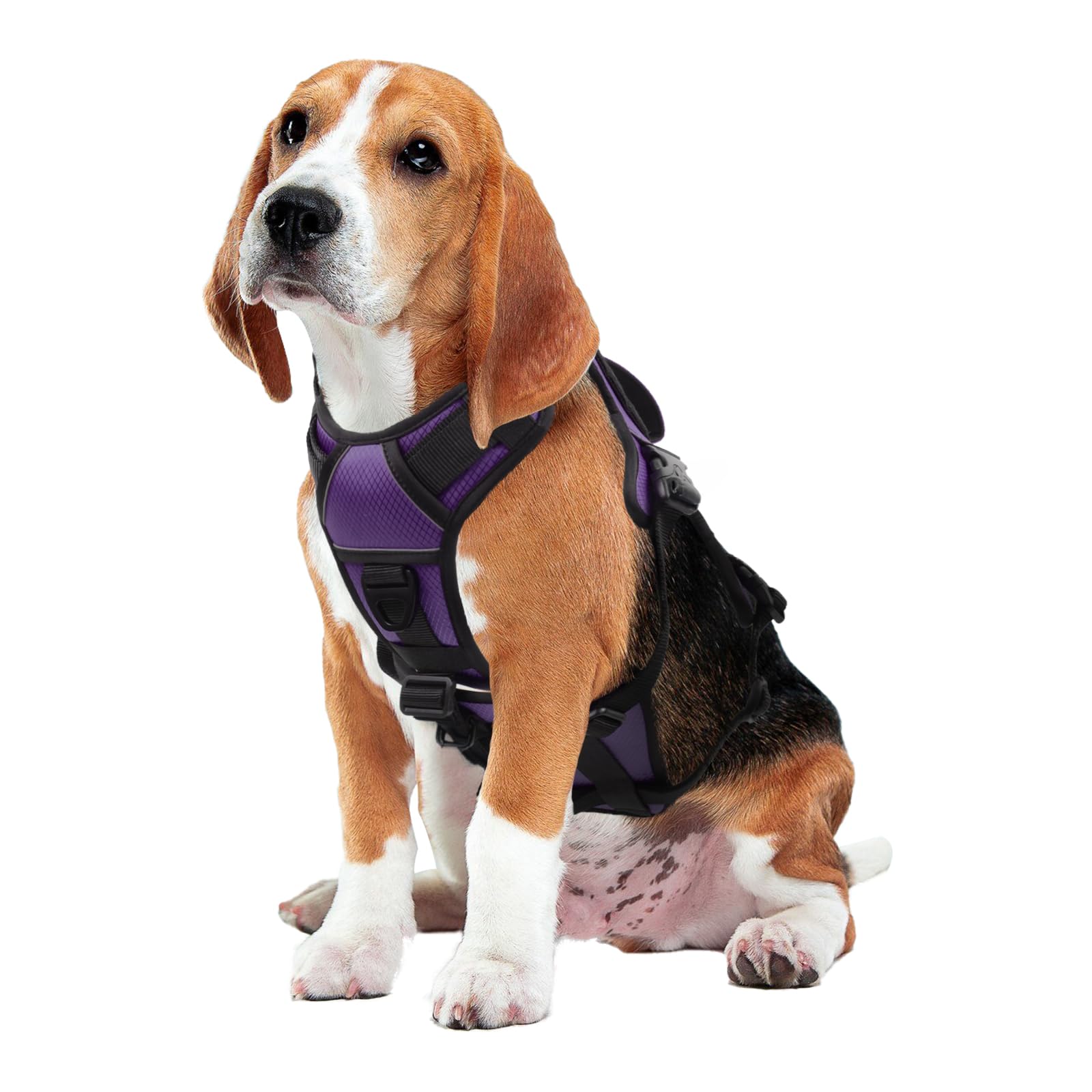 AUROTH asa trasera mejorada para control rápido durante caminatas.