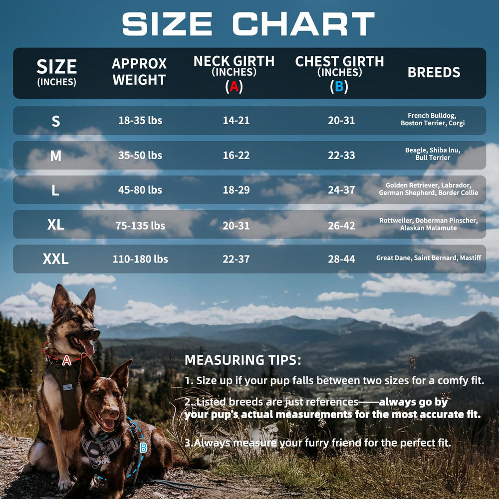 AUROTH arnés perro grande tiras Molle para llevar accesorios