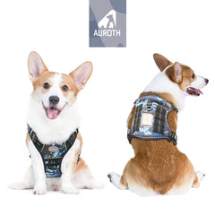 AUROTH arnés refuerzo de nylon, duradero para paseos y aventuras al aire libre.