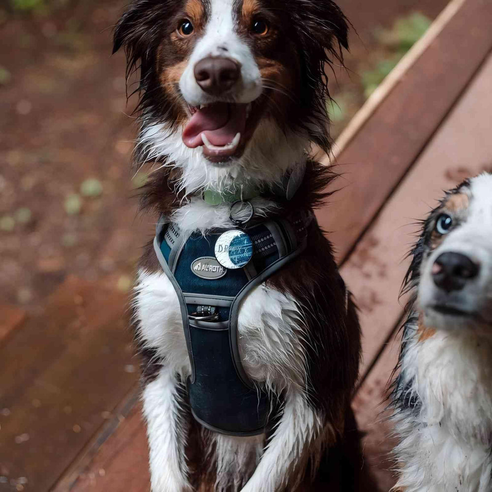 AUROTH arnés táctico para perro denim azul, dos puntos de enganche para versatilidad.