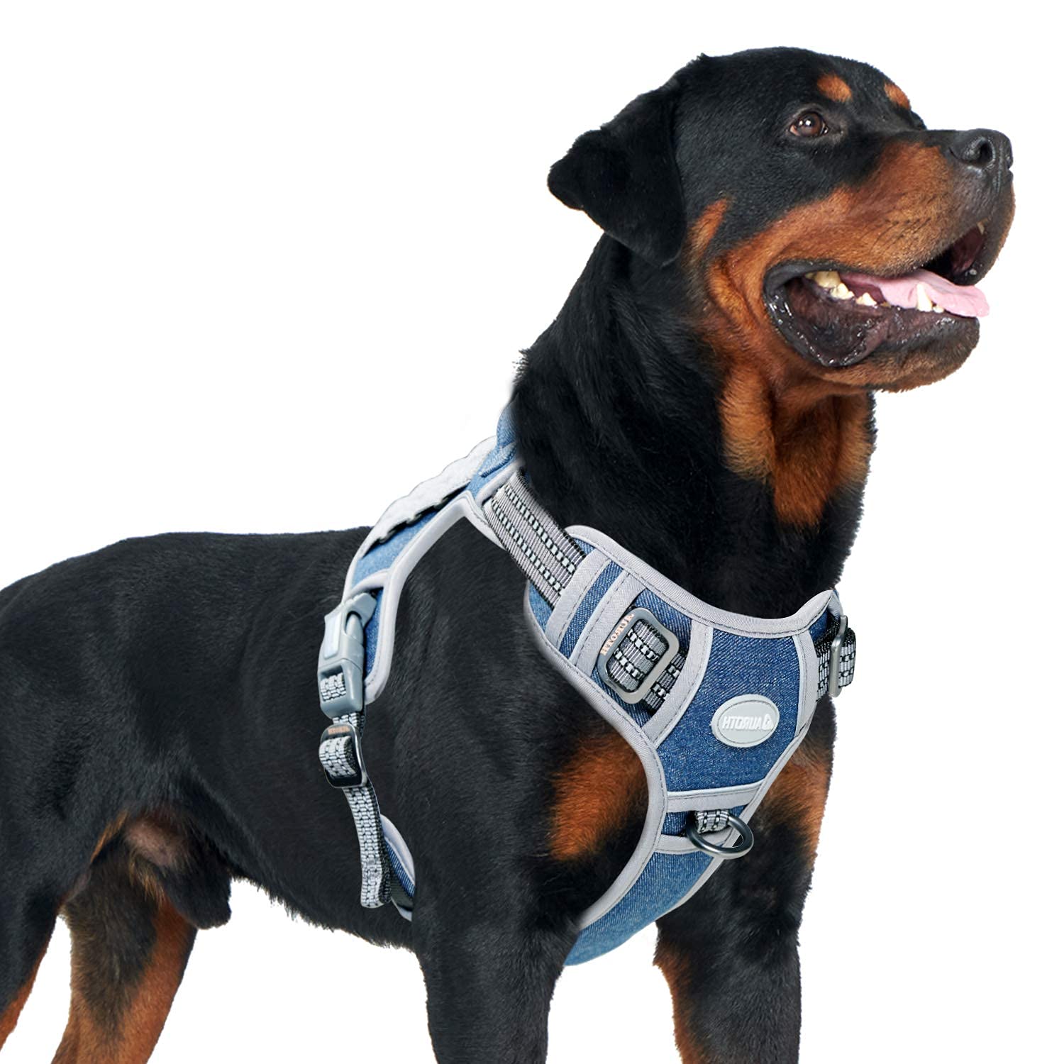 AUROTH arnés táctico para perro denim azul, vista frontal con ajuste seguro.