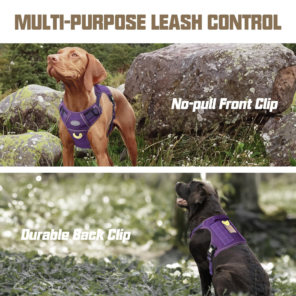 Ajuste ajustable para un encaje perfecto AUROTH en perros grandes.