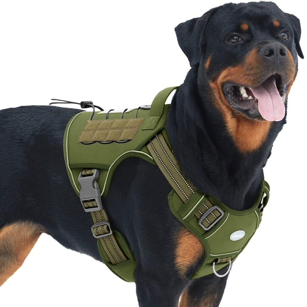 AUROTH tallas diferentes: ajuste seguro para perros grandes.