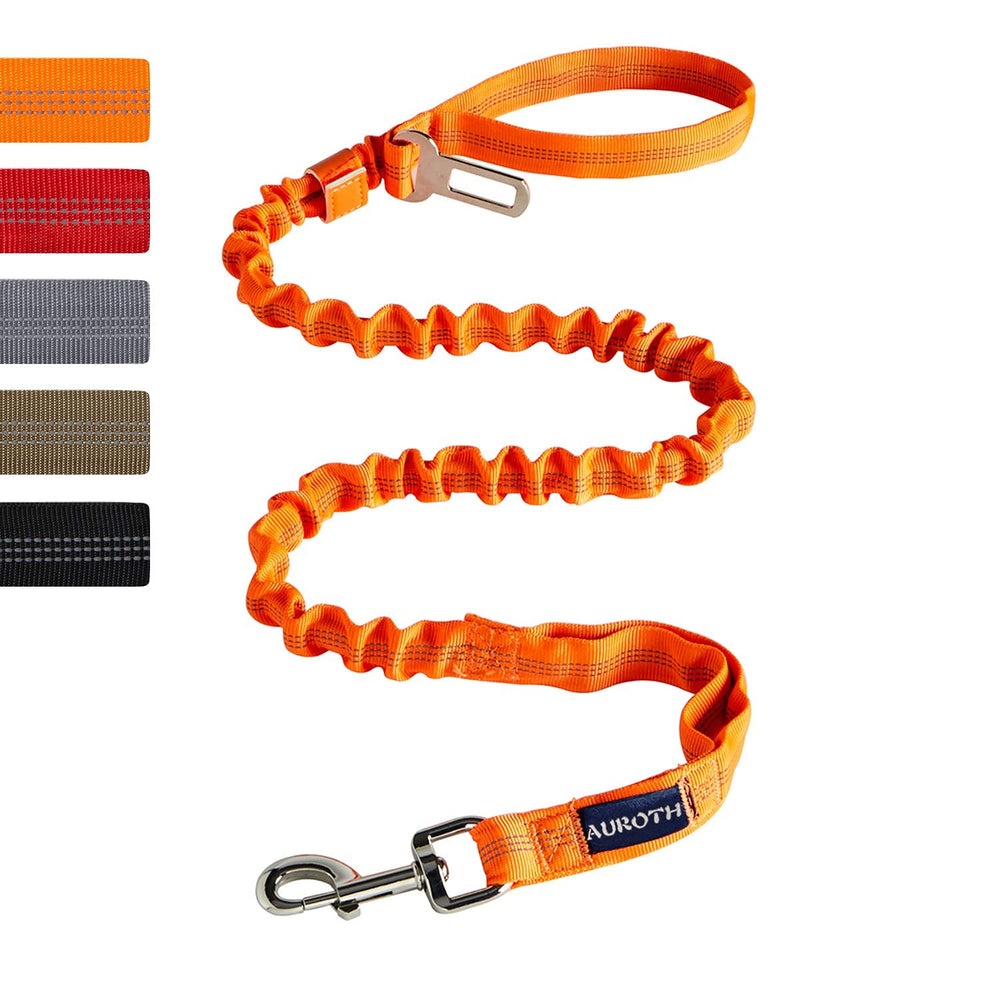 AUROTH Longe orange 6 pieds avec bungee, atténue les tirages lors des sorties.