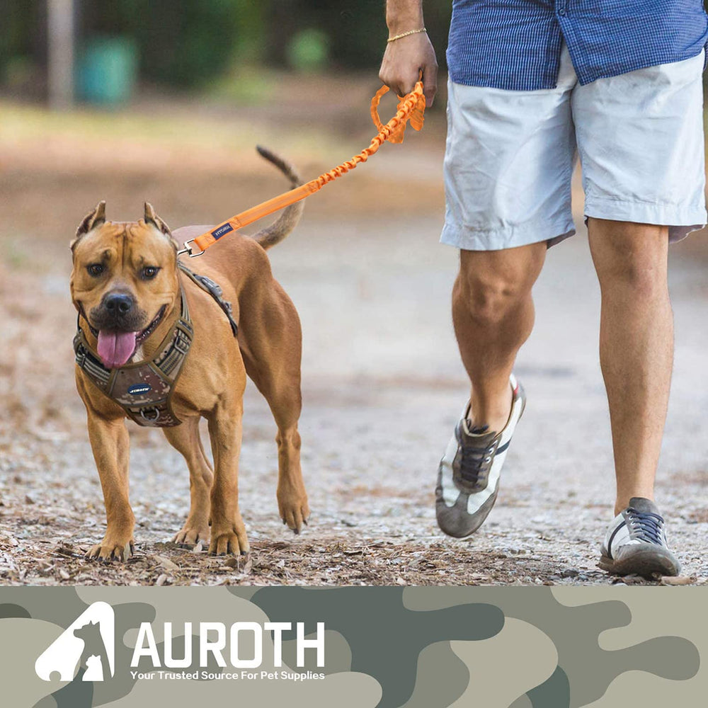 AUROTH Longe disponible en 4 pieds et 6 pieds, selon vos besoins.