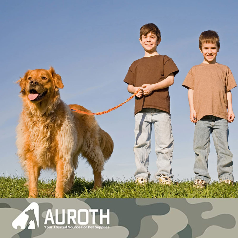 AUROTH Longe robuste, parfaite pour promenades, footing et randonnées.