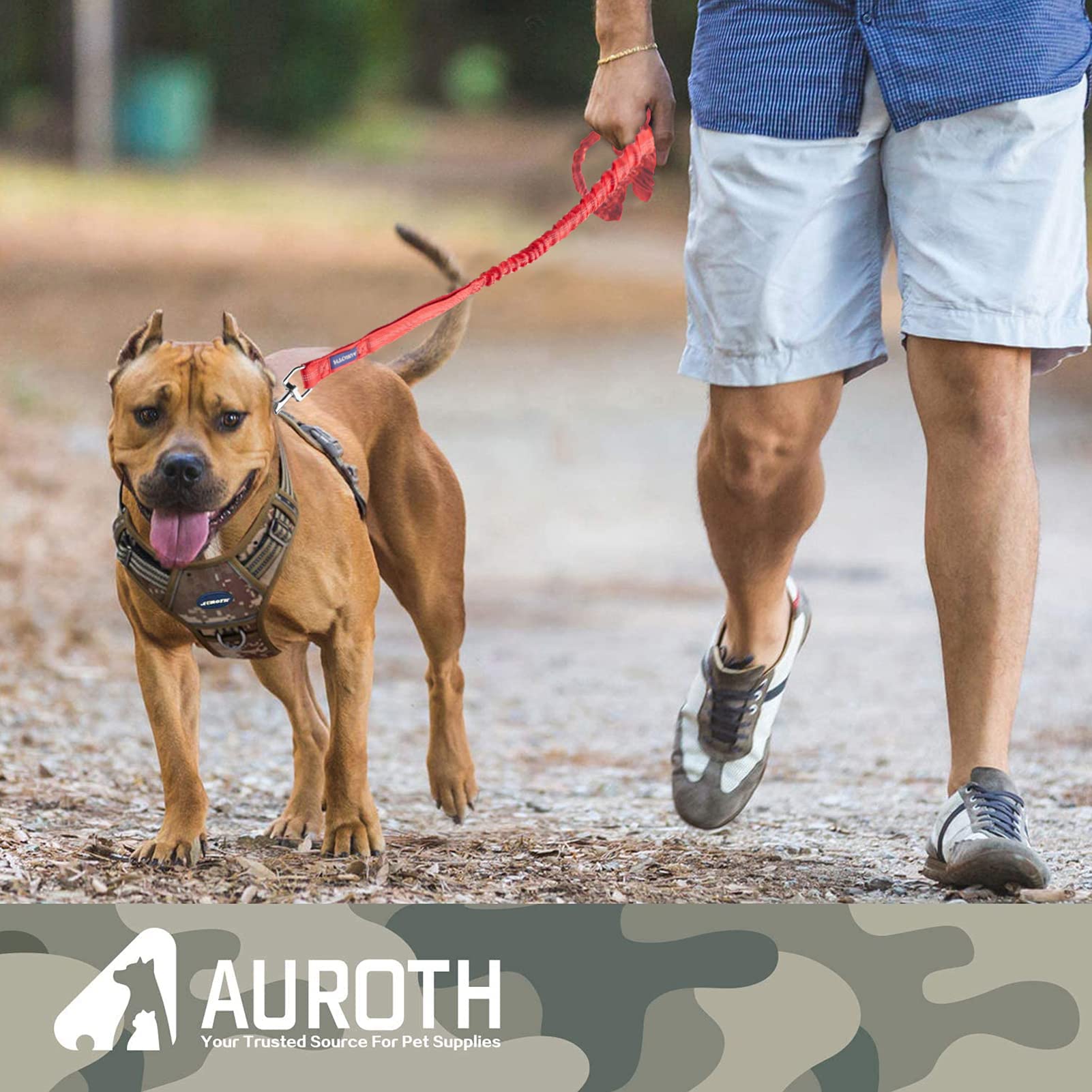 AUROTH con rotación anti-enredos para paseos fluidos.