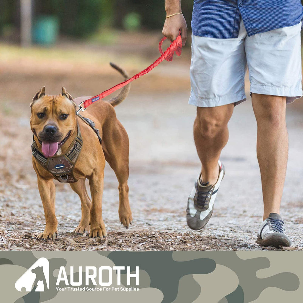 AUROTH con rotación anti-enredos para paseos fluidos.