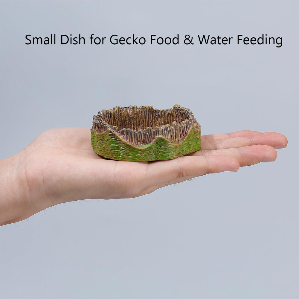 AUTSEEYS accesorios para geckos en terrario, conjunto práctico.
