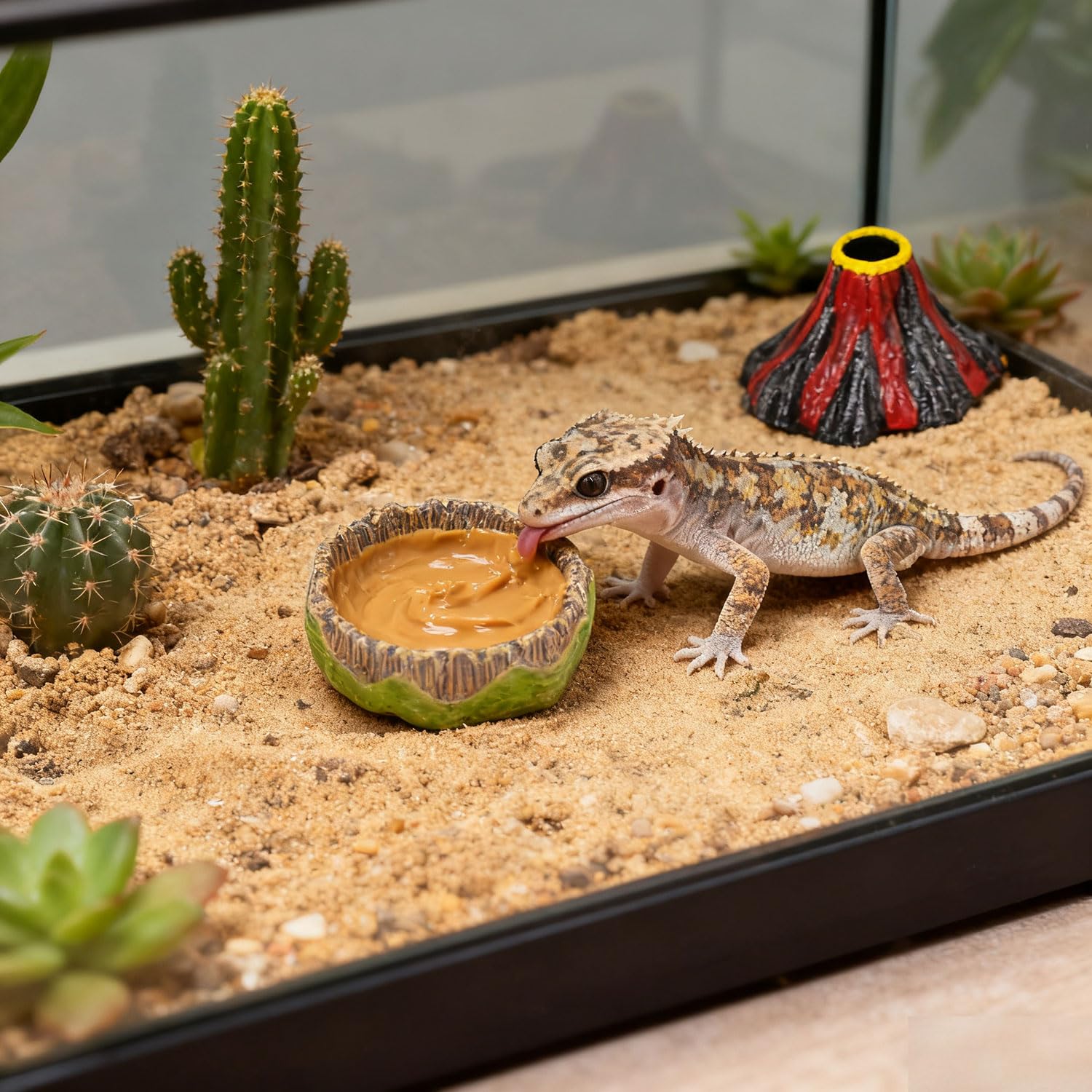 AUTSEEYS plato de agua para geckos, diseño tronco, evita derrames.