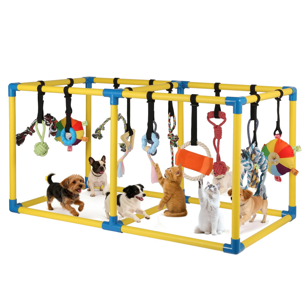 Autyomo Puppy Play Gym: instalación rápida para interiores.
