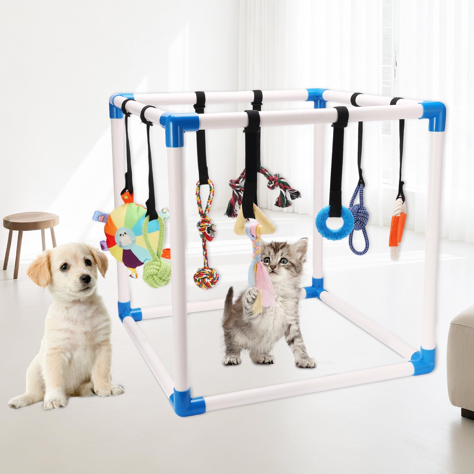 Autyomo Puppy Play Gym: texturas y sonidos variados para enriquecimiento sensorial y entretenimiento.