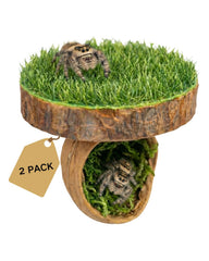 Autzom plataforma magnética de madera natural para descanso seguro de araña saltarina.