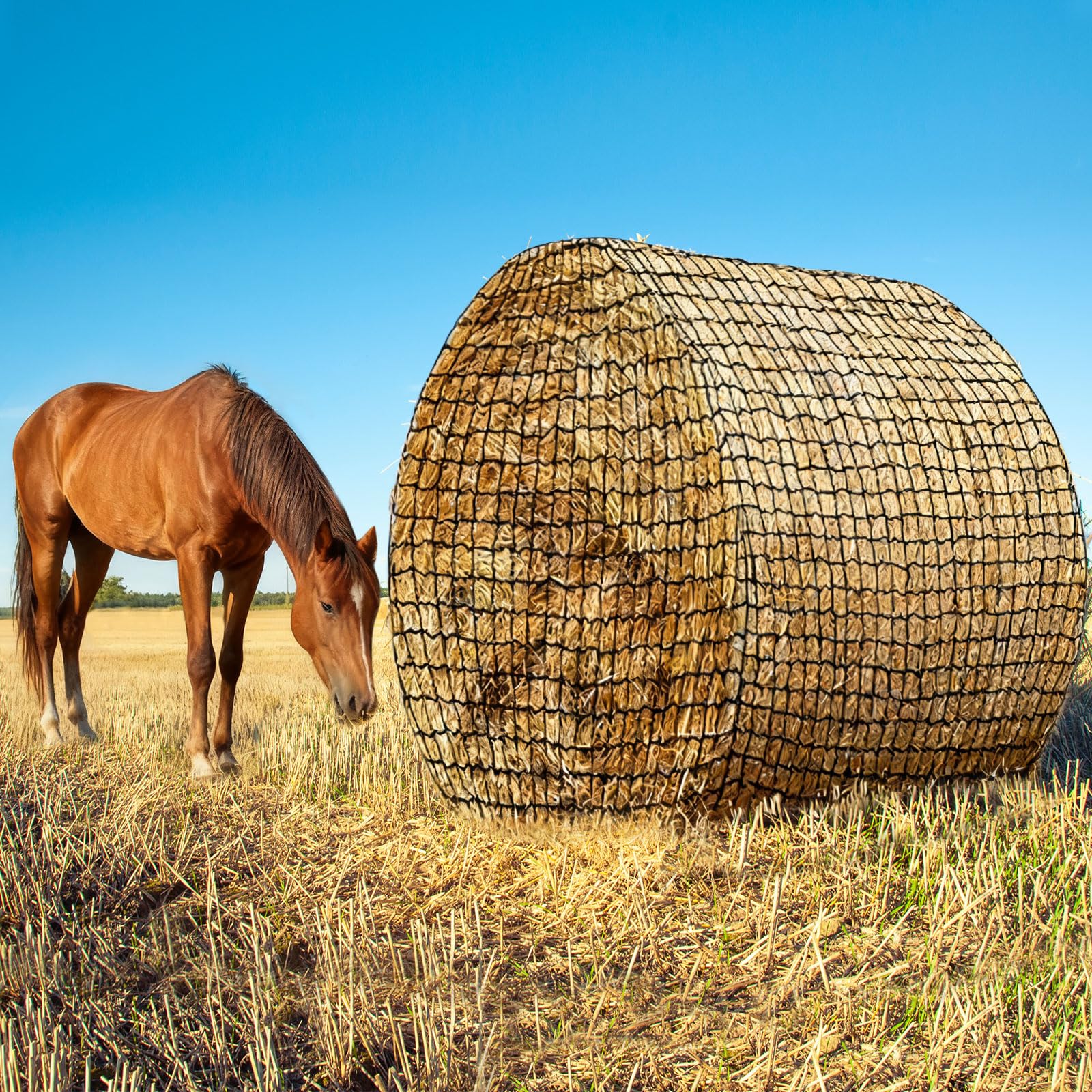 Avoirdus red de heno 6x6 pies para caballos, alimentación lenta para ritmo natural