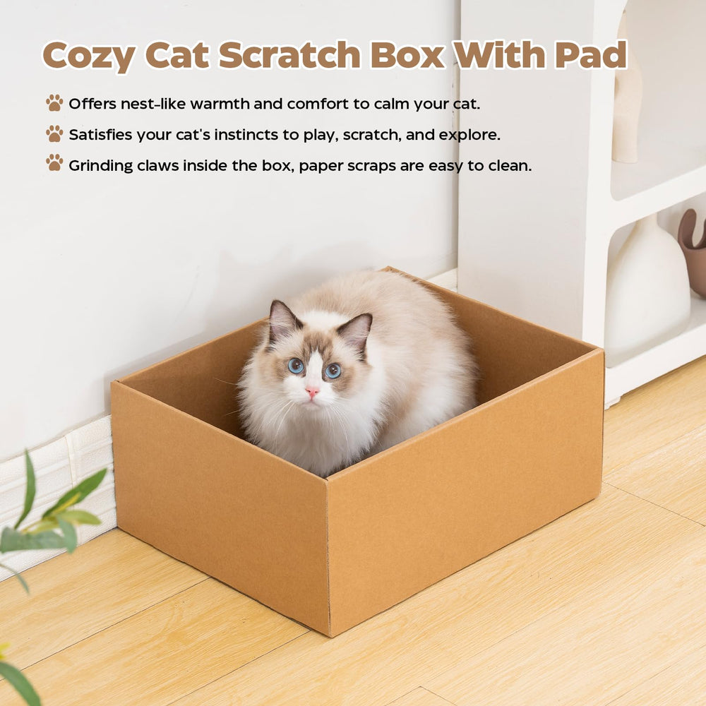 Avont bola de juego para gato, añade diversión interactiva.